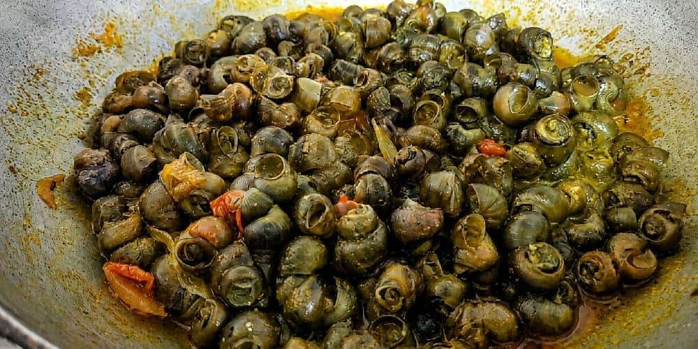 Traditional ghonghi dish, a local Tharu food to try in Chitwan