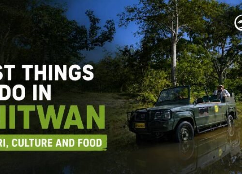 Best Things to Do in Chitwan: Ultimate 2026/27 Travel Guide